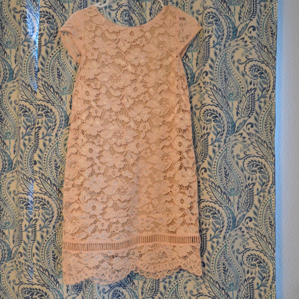 Pink Lace Women's Petite Shift dress